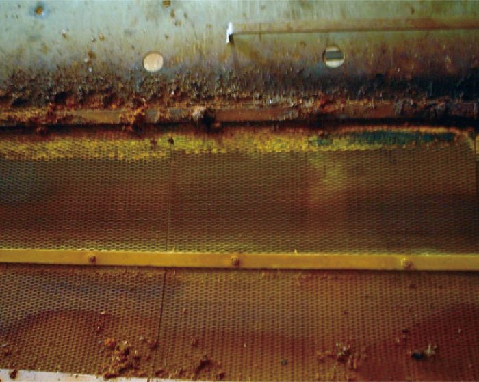 Common Issues with Platinized Titanium Anodes in the Plate-Making Industry